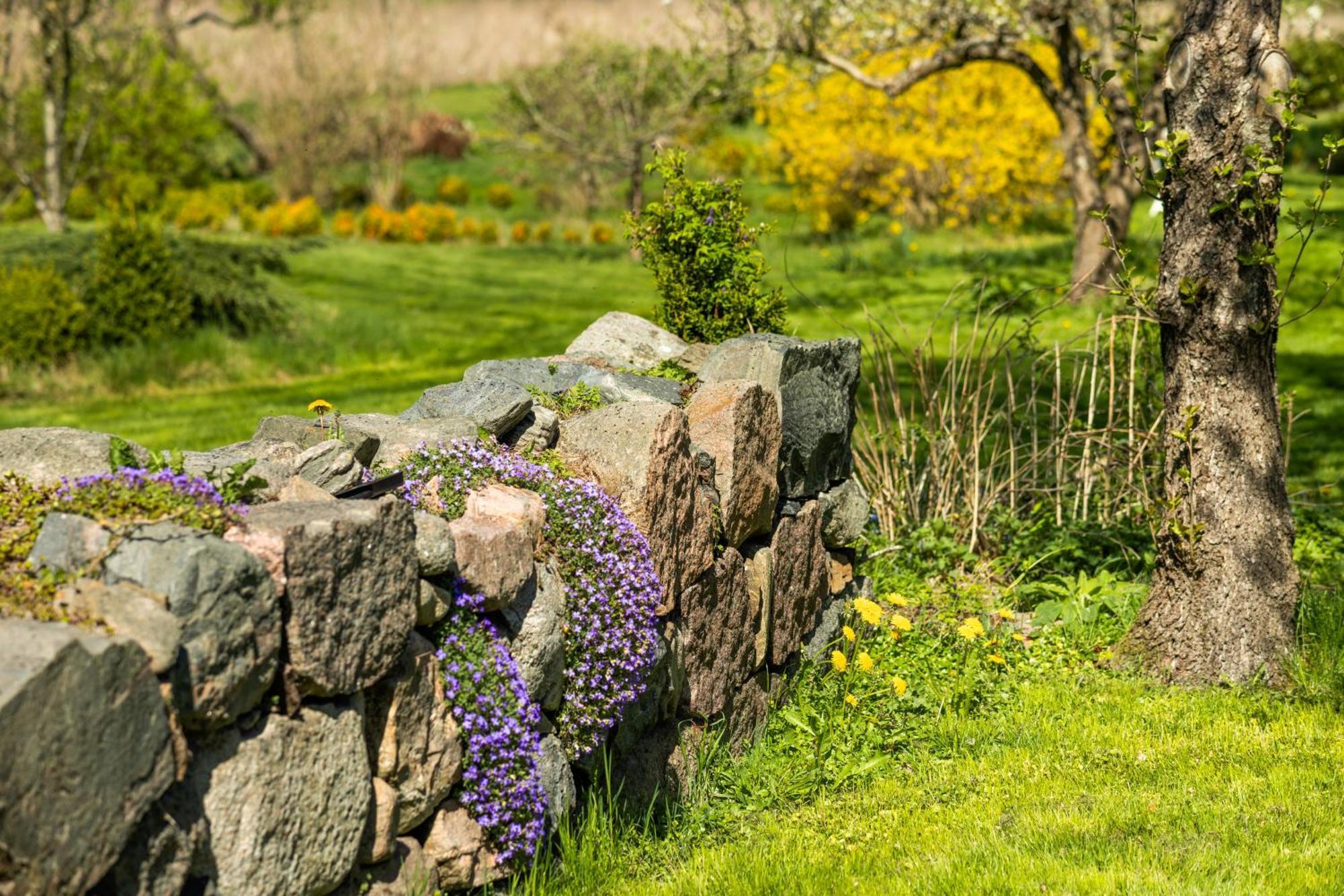 Solbjerggaard Bed & Breakfast Fåborg Εξωτερικό φωτογραφία