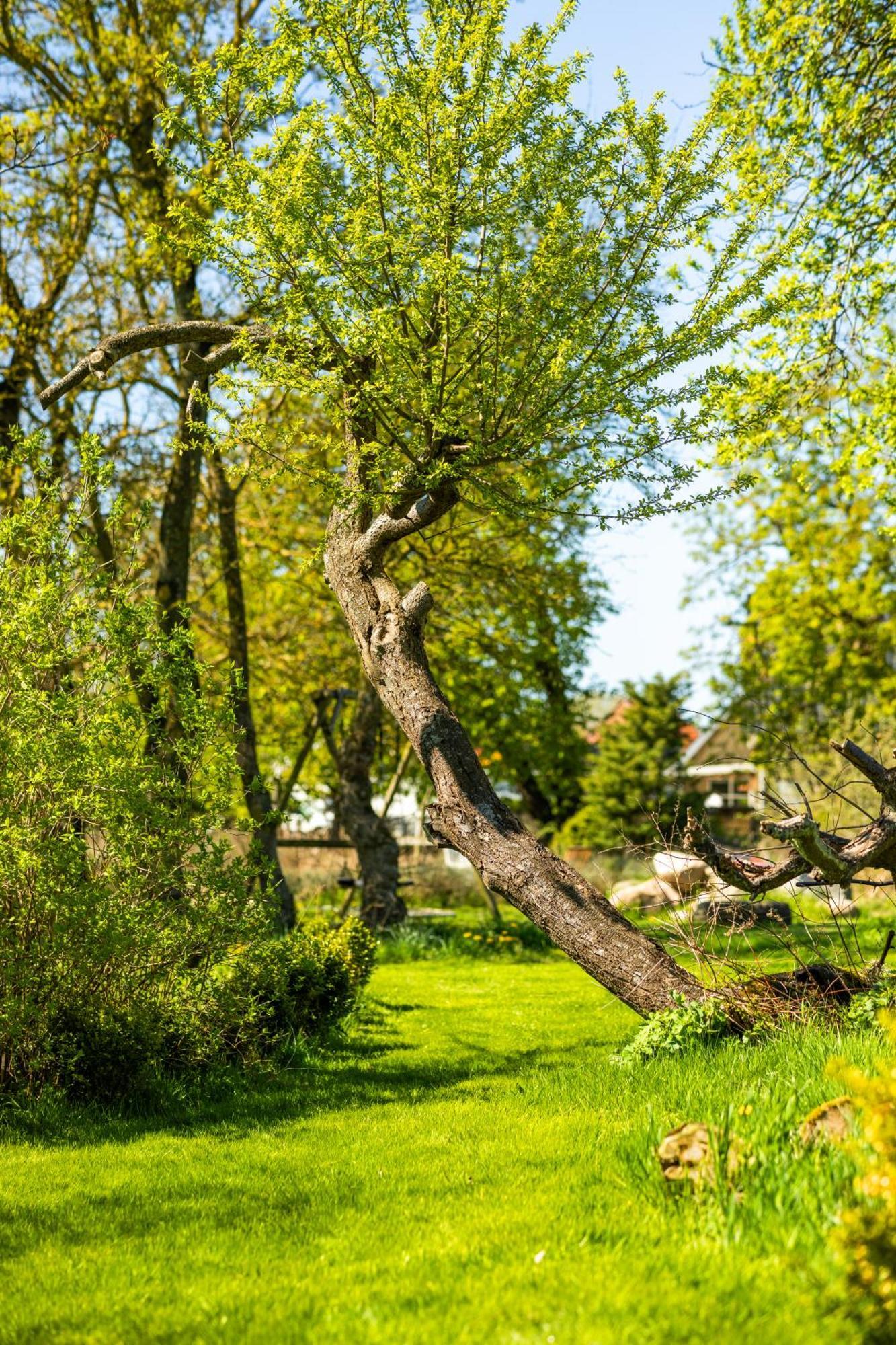 Solbjerggaard Bed & Breakfast Fåborg Εξωτερικό φωτογραφία